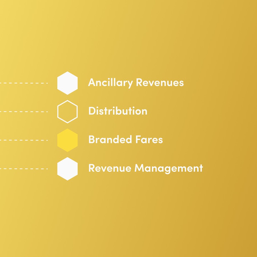 Text: Ancillary Revenues, Distribution, Branded Fares and Revenue Management